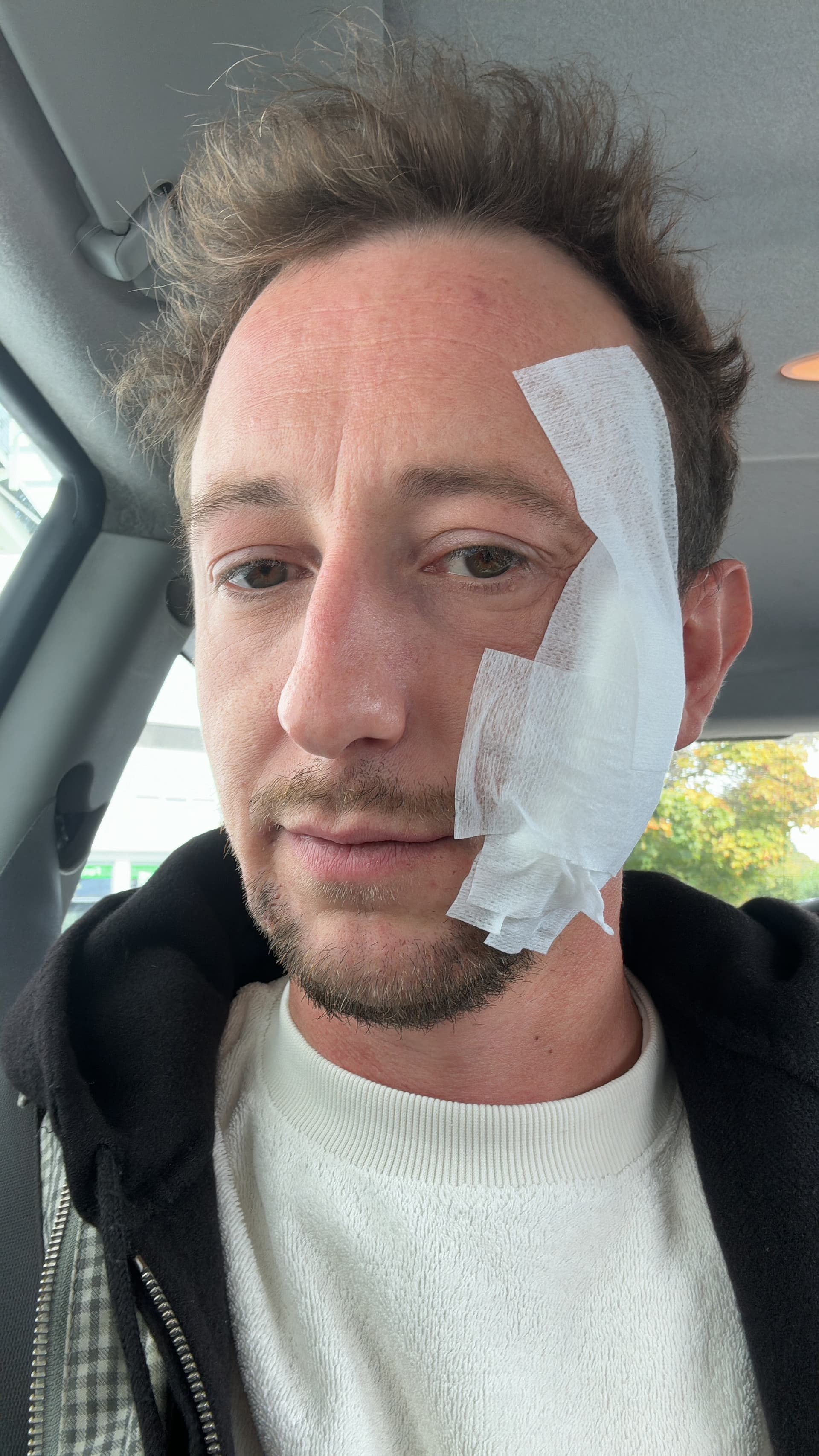 Robin nach einem Eingriff im Auto
